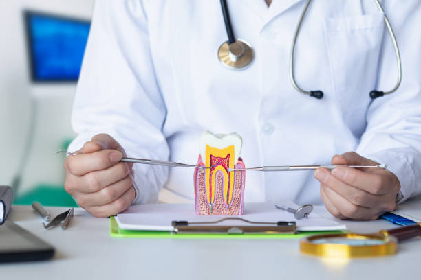 Best Pediatric Emergency Dentist in Attica, IN